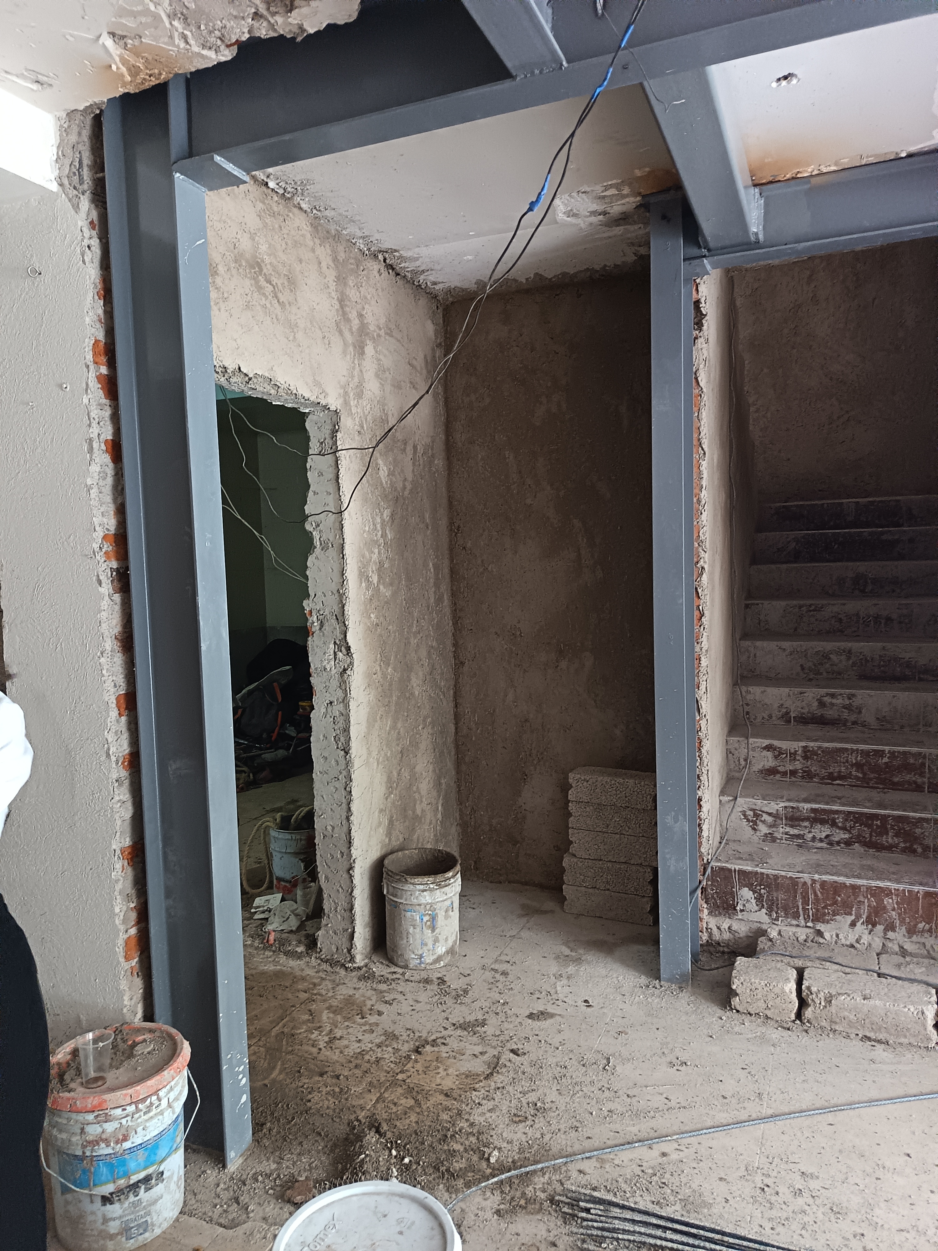 Casas Floresta #2 - Toma 6